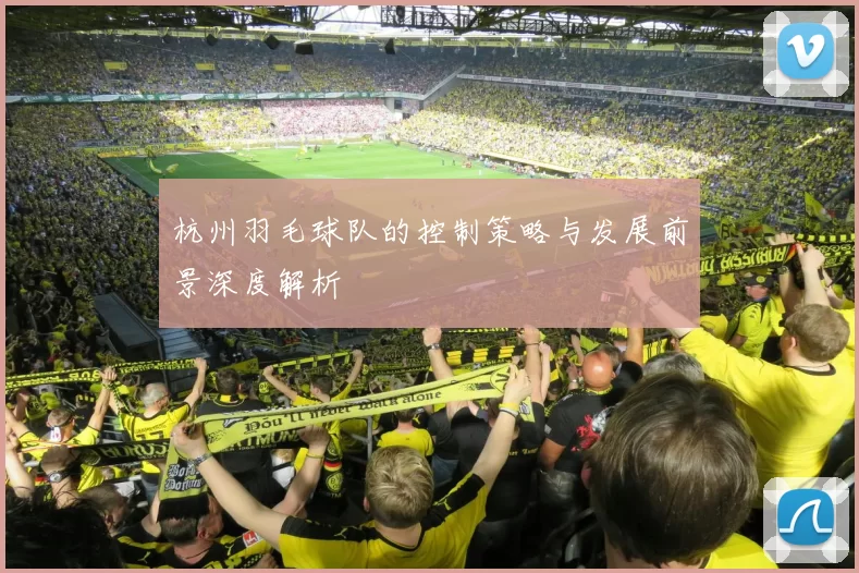 杭州羽毛球队的控制策略与发展前景深度解析