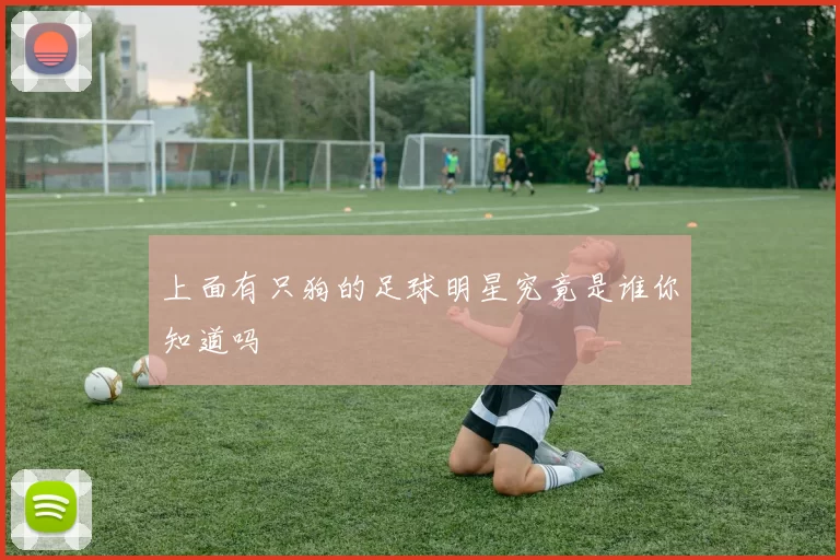 上面有只狗的足球明星究竟是谁你知道吗