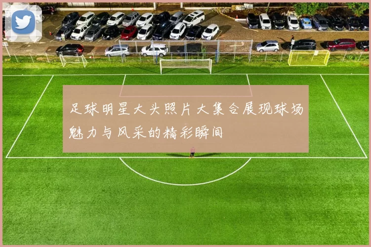 足球明星大头照片大集合展现球场魅力与风采的精彩瞬间