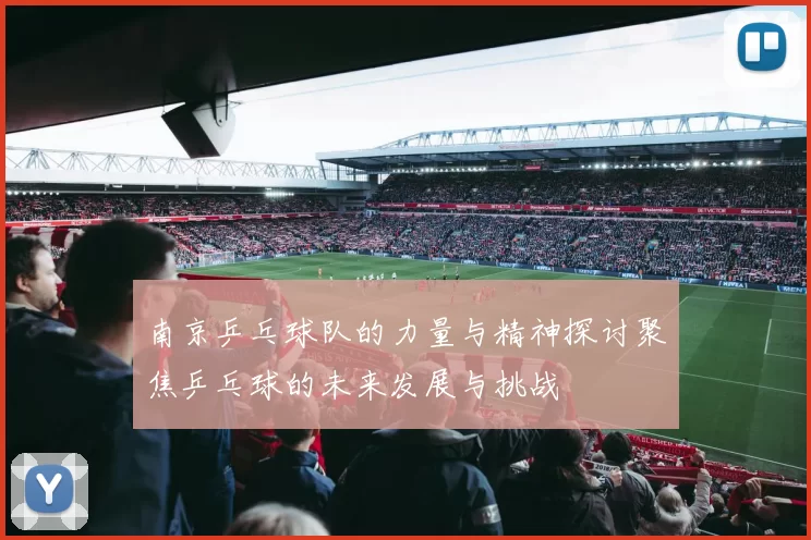 南京乒乓球队的力量与精神探讨聚焦乒乓球的未来发展与挑战
