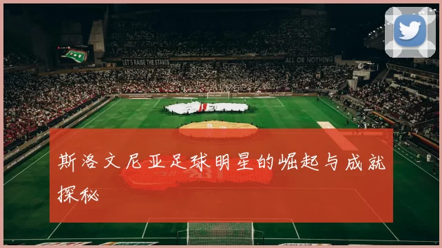 斯洛文尼亚足球明星的崛起与成就探秘