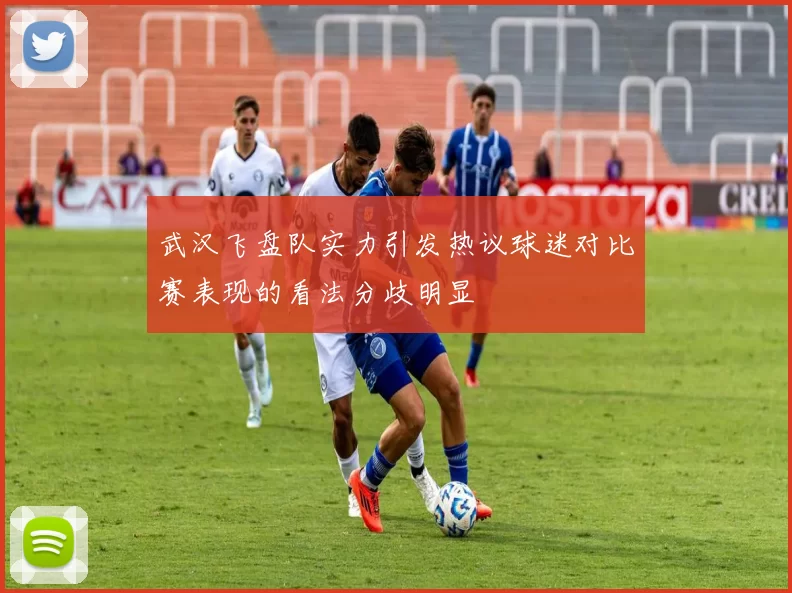 武汉飞盘队实力引发热议球迷对比赛表现的看法分歧明显