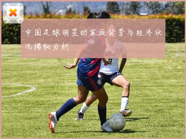 中国足球明星的家庭背景与经济状况揭秘分析