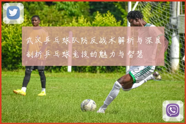 武汉乒乓球队防反战术解析与深度剖析乒乓球竞技的魅力与智慧