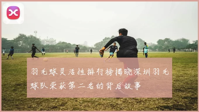 羽毛球灵活性排行榜揭晓深圳羽毛球队荣获第二名的背后故事