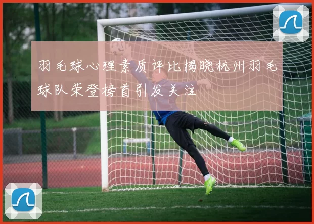羽毛球心理素质评比揭晓杭州羽毛球队荣登榜首引发关注