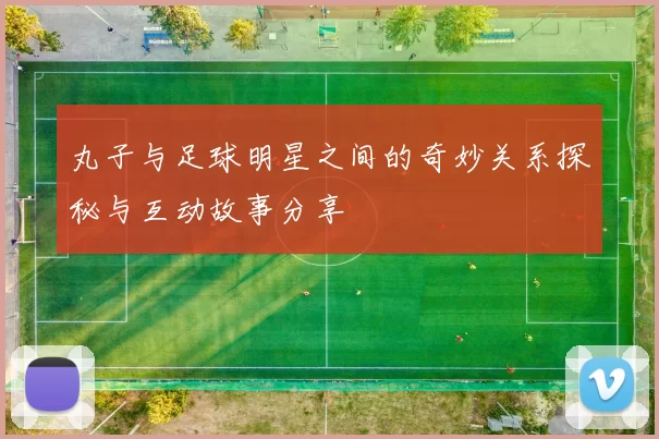 丸子与足球明星之间的奇妙关系探秘与互动故事分享