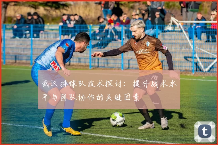 武汉排球队技术探讨：提升战术水平与团队协作的关键因素
