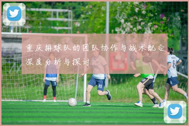 重庆排球队的团队协作与战术配合深度分析与探讨