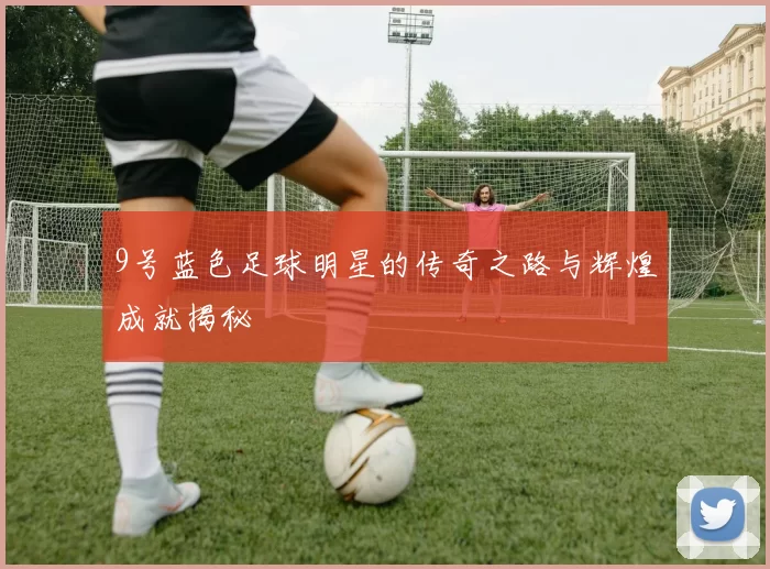9号蓝色足球明星的传奇之路与辉煌成就揭秘