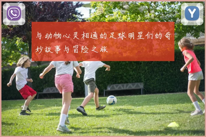 与动物心灵相通的足球明星们的奇妙故事与冒险之旅