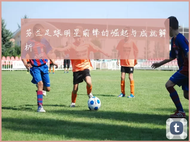 芬兰足球明星前锋的崛起与成就解析