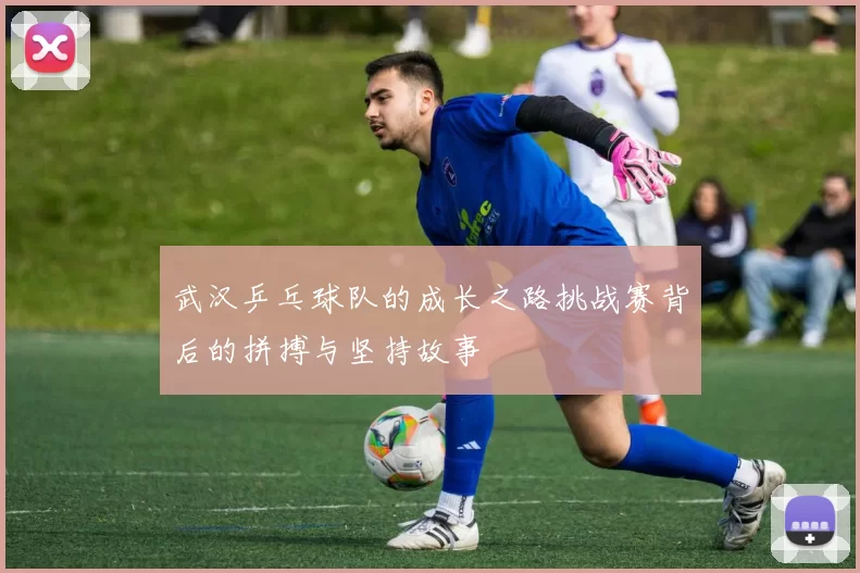 武汉乒乓球队的成长之路挑战赛背后的拼搏与坚持故事