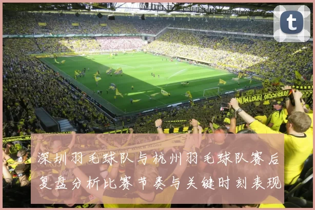 深圳羽毛球队与杭州羽毛球队赛后复盘分析比赛节奏与关键时刻表现