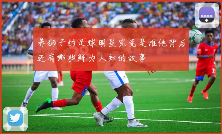 养狮子的足球明星究竟是谁他背后还有哪些鲜为人知的故事
