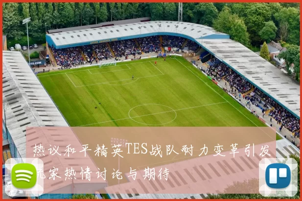 热议和平精英TES战队耐力变革引发玩家热情讨论与期待